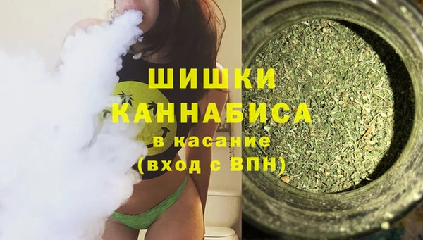 дмт Горнозаводск