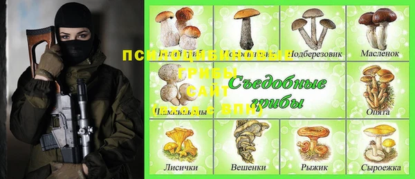 дживик Горно-Алтайск