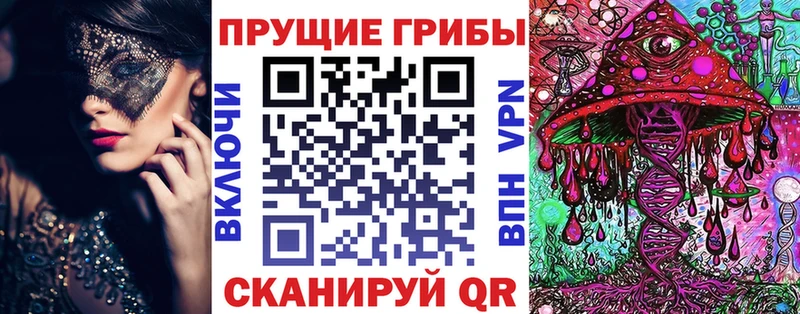 Купить  Чадан  Галлюциногенные грибы прущие грибы 