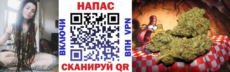 Марихуана Amnesia  Купить закладки  Чадан 